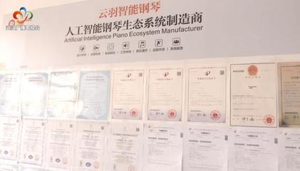 銀發創業傳奇 傾盡家產鑄琴魂，兩年破兩億的跨界逆襲